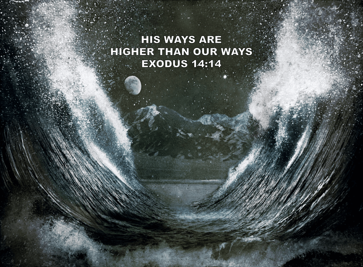 You are currently viewing Lean Not On Your Own Understanding | His Ways Are Higher Than Our Ways